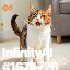 inscription 0f62d00a1c53afce05143c20ee69f33041bf344a8172125f040673b7ce57ea7ai0