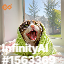 inscription 1135846a37fcbbf053d4580a8df58efb195b633d1bbfd62f51e45c02fef79b8ei0