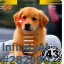 inscription 1effc7eab5745282b78b1a150e37acd5d1e82c9d0ddd92c048c98432a06ba9d1i0