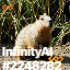 inscription 2471f4f7f82a24c9354bdc6501d35b435b2dd8de668a41451a5e101352cf9ee4i0