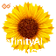 inscription 368c6b324f6fae620c4000e842516bae46c84c0770b436dfe1137565a0cfe51ai0