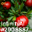 inscription 51e590fabb592f9aafd40a1ca72506508e8972e4d2334be4d7df7e720a128333i0