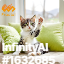 inscription 6a00b1e3e129a049be6f82a4d096e88bcce9a2dbfe253ee303817f0e20aaf6edi0