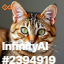 inscription 6db6f09427a5bf1a390956354daab409bdfb2a2d607ca1ed8d44badc60676ed4i0