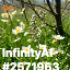 inscription 8c5e6d574bba9d2dd4505dd787be450ae75d0494c7b2a371f10b39365da934f8i0
