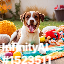 inscription 916149fdb876cabdf46c7dba540d4f77ce07c58e09b6375ac1e5889b067a0bbci0