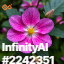 inscription a464568e825fb94c4d1c07a8be0749e210043a4e3c0553e5220fd977986f96f5i0