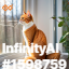 inscription cf1fc063639edfd08f056676ff7a16ccc2963acb08fea81150aa9b1ae4d00ddei0
