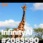 inscription d632ee37442a618ea8c714e9d85ed6a73a395712a4e625c171ffda92d4b65a4ci0