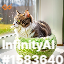 inscription d6a34b6c12266e65f80dc63ba3c71d8fb34b94a05b90a4cc4cfb24184d9c9c7ci0