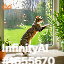 inscription d90ba17616c9d4595f49ea9762dda1e6afe09d119aae42917f90656200104abei0