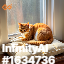 inscription df24b4c9f7ad26b8ffe8643056cfa29c53ff941cec6447a355b6de8068aa5cbci0