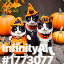 inscription e398e61e15a9e693031c89f3e29ab58e6b1f5aaf9b5f3bfc78002e7ad170d8bei0