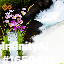 inscription ed51fd458fba2596ec02df8d8461d30d659bde53a38d857abfadb5f53d7d8af0i0