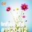 inscription ee78f29968c53134a80f410624b9d7d6f70875c915236403da27872a4a25c381i0